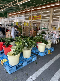 木村チェーンの店内写真