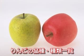 りんごの品種・種類一覧